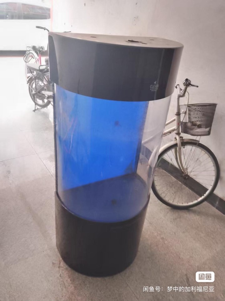 丁丁发布的动态配图2