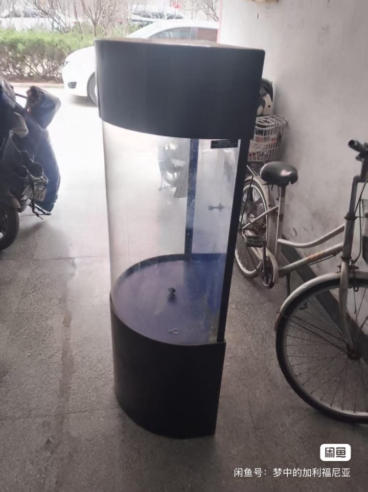 丁丁发布的动态配图6