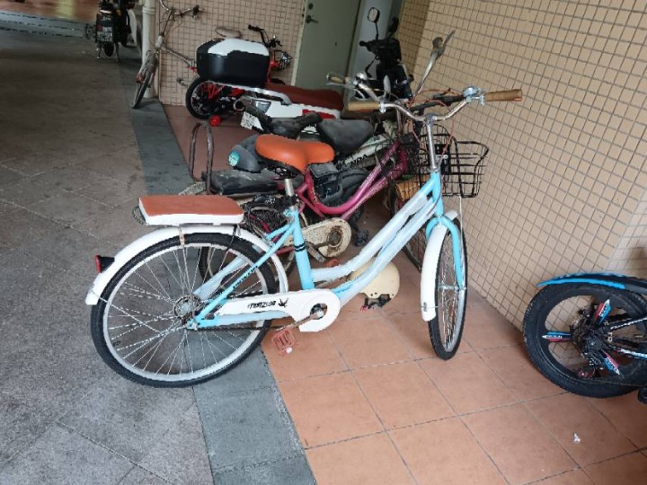 飞鸽自行车九成新发布的动态配图2