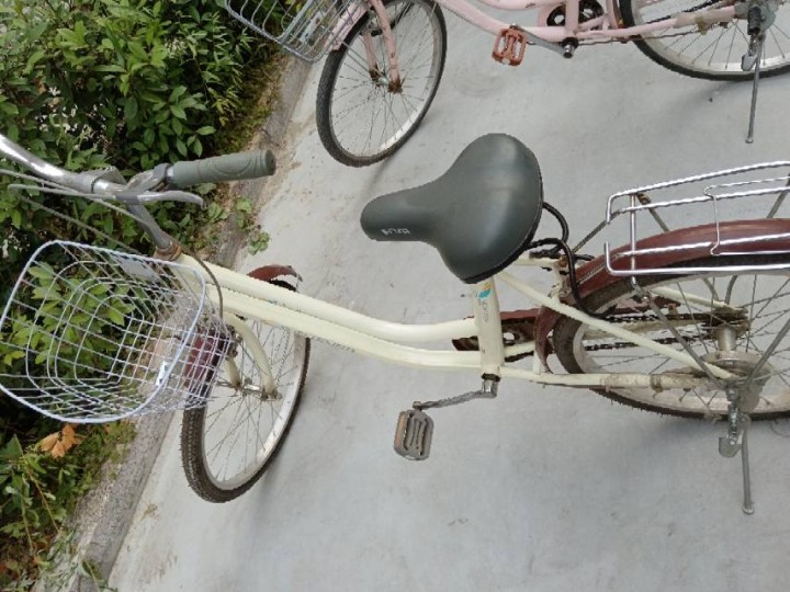 茶妤发布的动态配图3