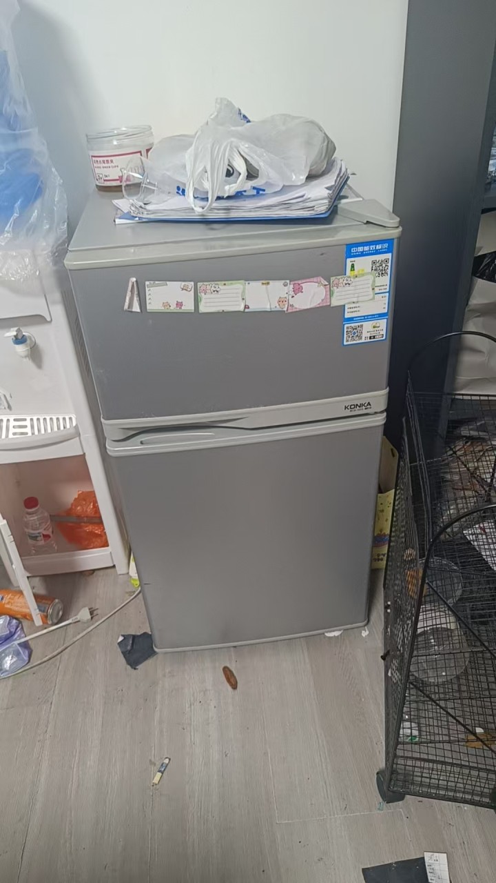 大老板上岸甩荬图片4