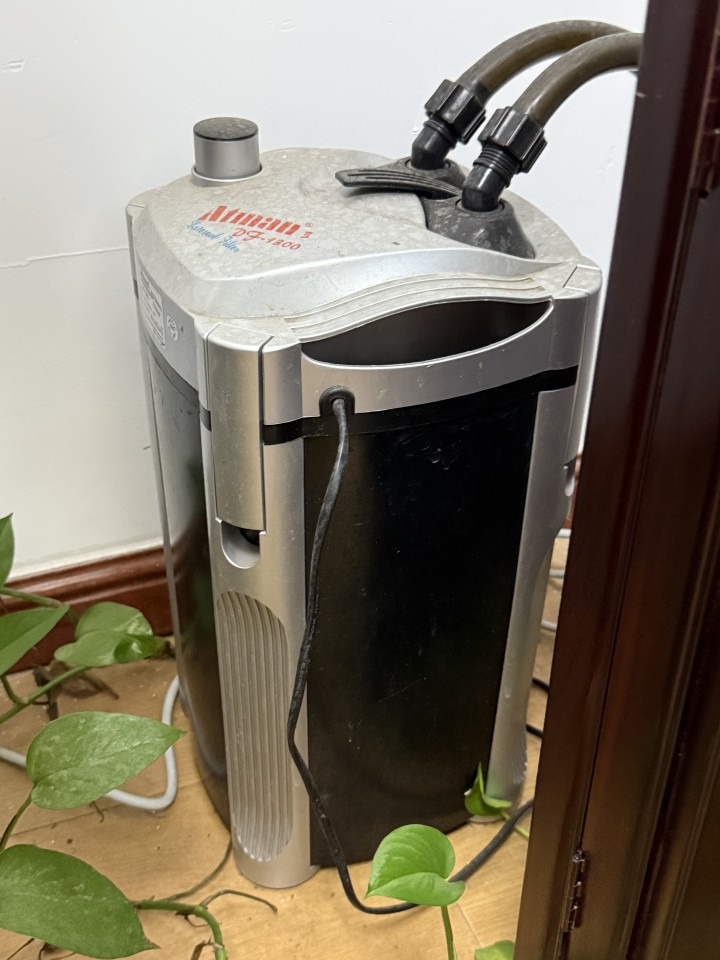 公司搬迁，出售一个带抽水净化的鱼缸，需要的请自提，地址在青岛市崂山区梅岭路图片2