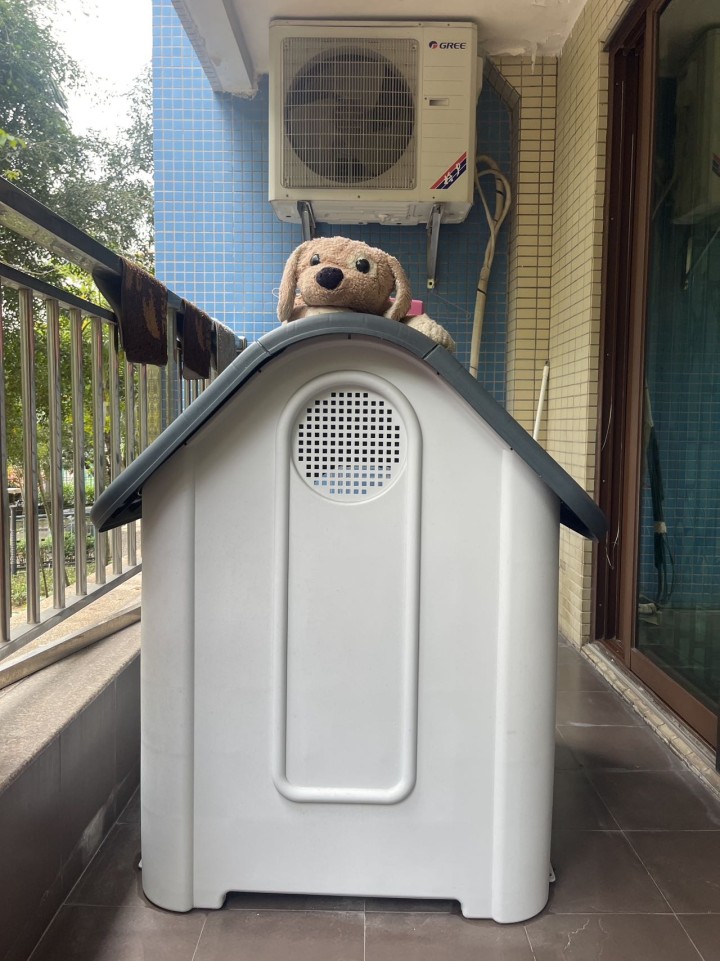 狗屋