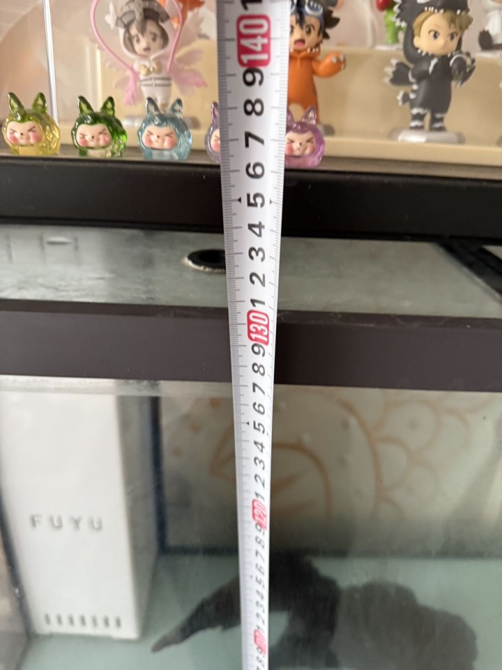 赵先生发布的动态配图3