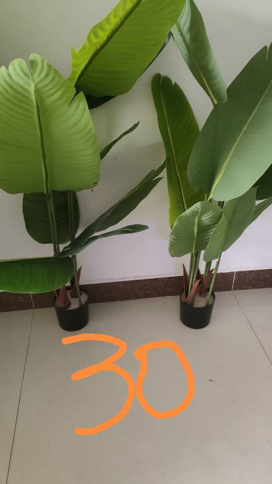 个人闲置物品，图片上有价格图片5