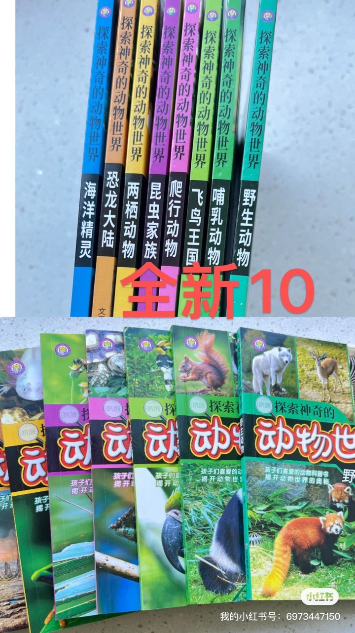 晚风发布的动态配图4
