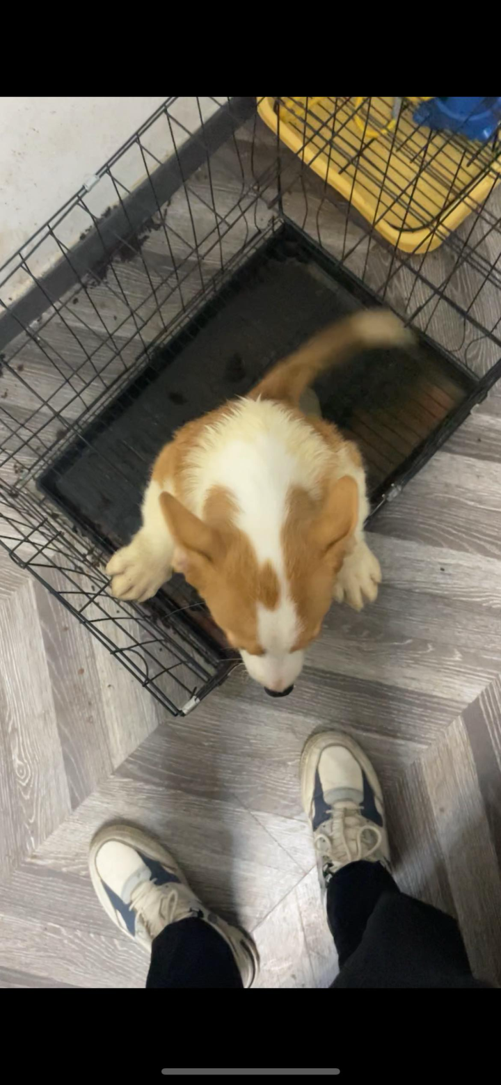 顶城印象造型设计店  标标.发布的动态配图3