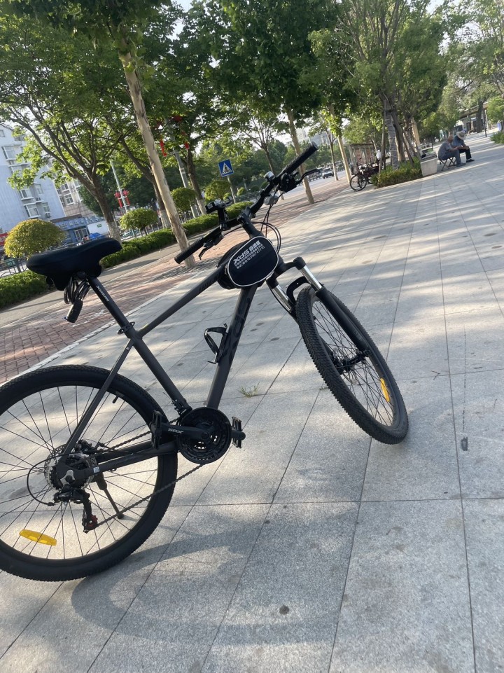 喜德盛黑客380刚买2个多月，骑行5次，99新