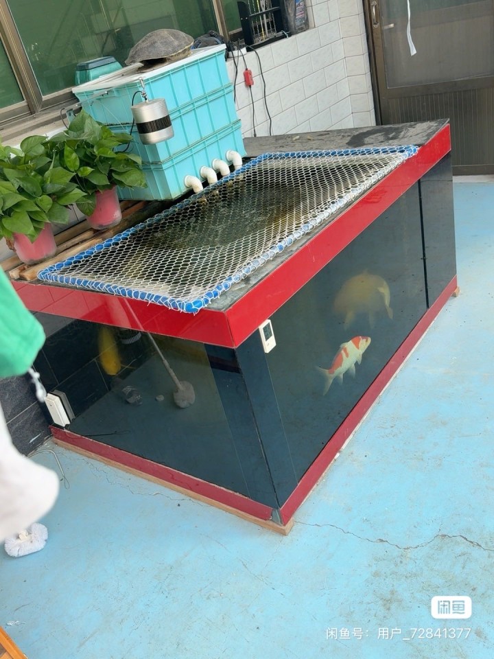 二手地缸鱼缸，1.5×1.2，2.0的玻璃中央吸水晋州市图片3