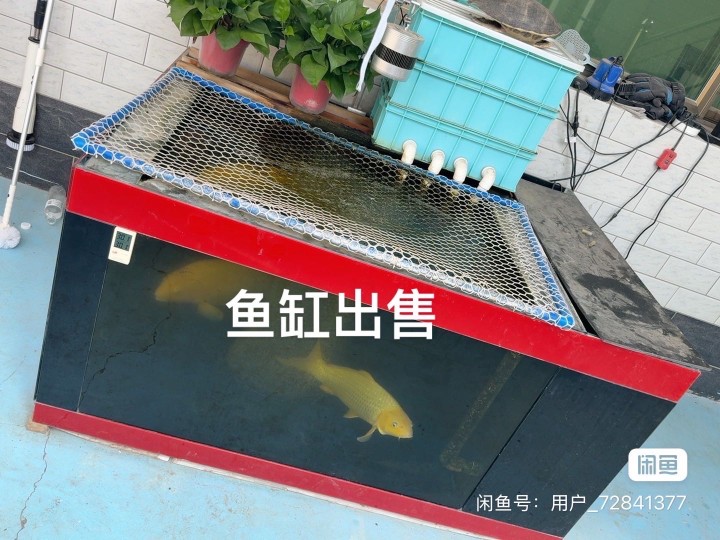 二手地缸鱼缸，1.5×1.2，2.0的玻璃中央吸水晋州市图片2