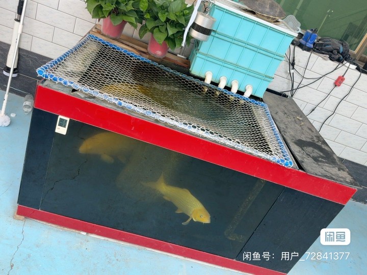 二手地缸鱼缸，1.5×1.2，2.0的玻璃中央吸水晋州市