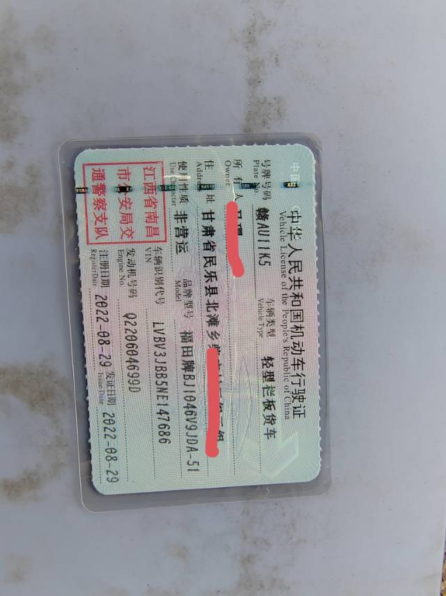 流浪猫发布的动态配图2