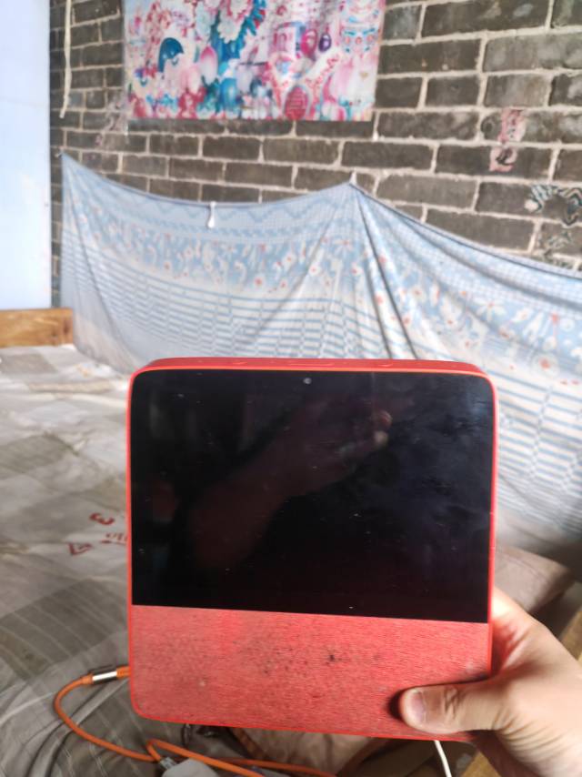 本人有小度小8，一台图片2