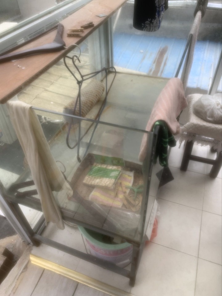 共有三个鱼缸，玻璃缸长宽高分别是：120，60，51，金属架长宽与玻璃缸一样，高…图片3