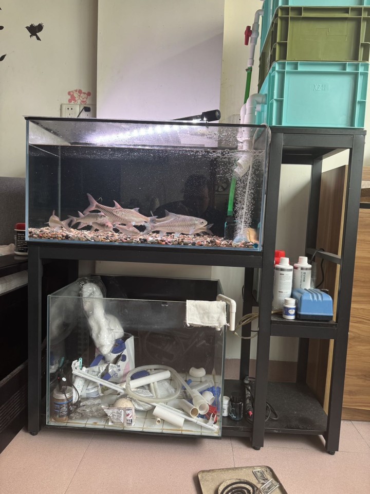鱼缸一套，80*40*40.架子是110 *40.变频水泵25瓦，尼奥灯，，40…图片2