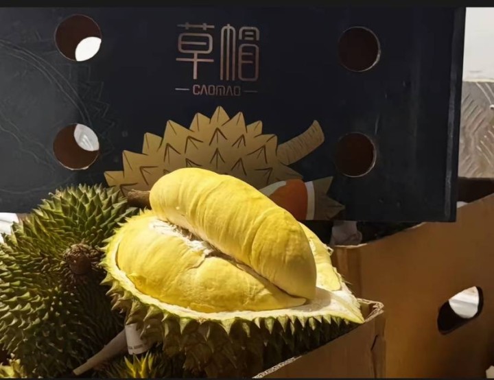Layman发布的动态配图5