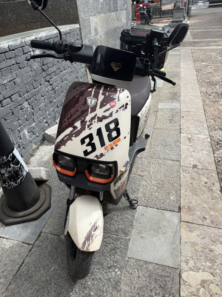 台铃电动车  2023年购买图片2
