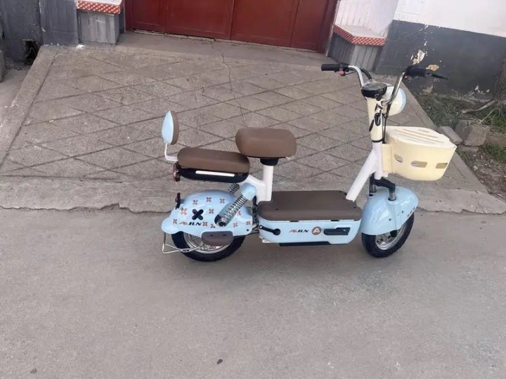 朋友在电动车生产厂上班，以员工价960元购入，加价100块赚个辛苦费。粉色车身配…