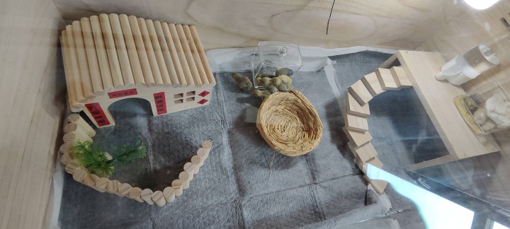 芦丁鸡恒温饲养箱，包含鸡窝，平台，自动喂食器，小木屋等图片2