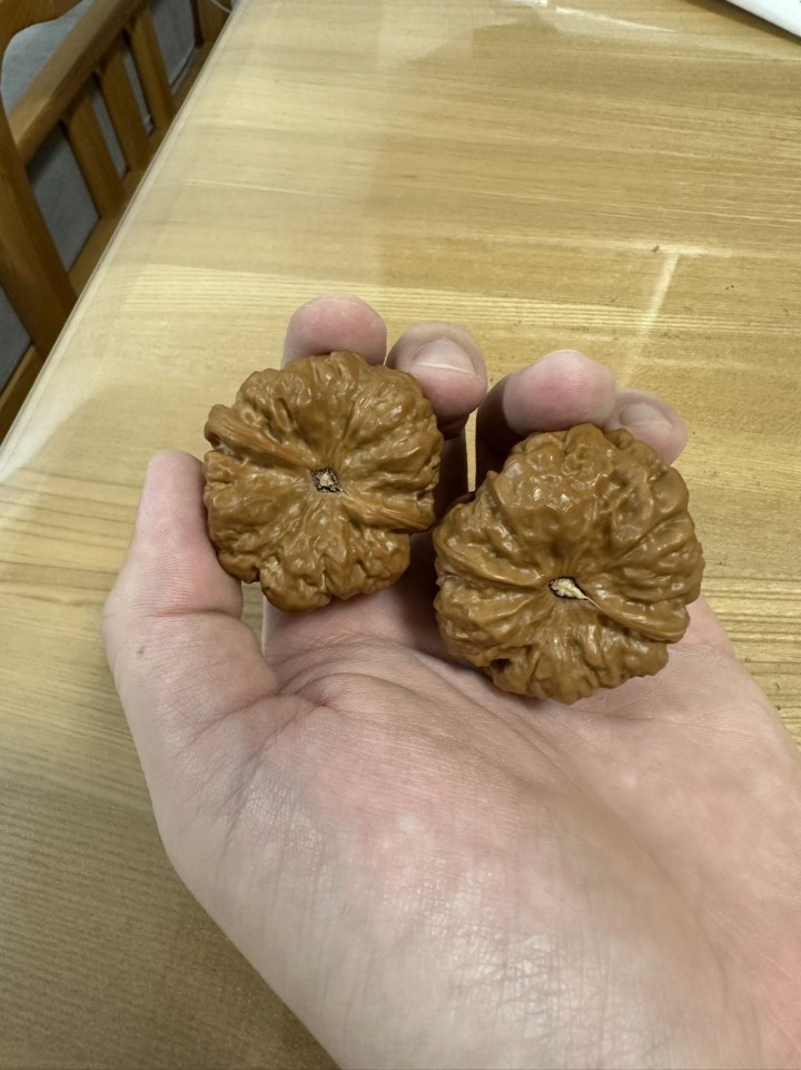 44尺蛤蟆头核桃，4开背，8腿8眼，上海可以自提图片3