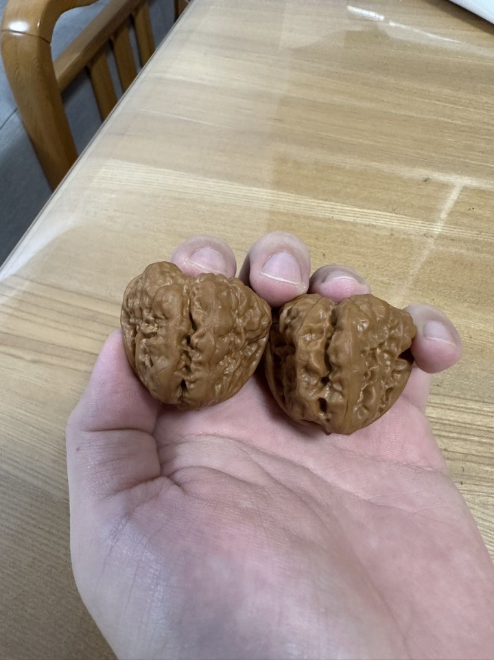 44尺蛤蟆头核桃，4开背，8腿8眼，上海可以自提