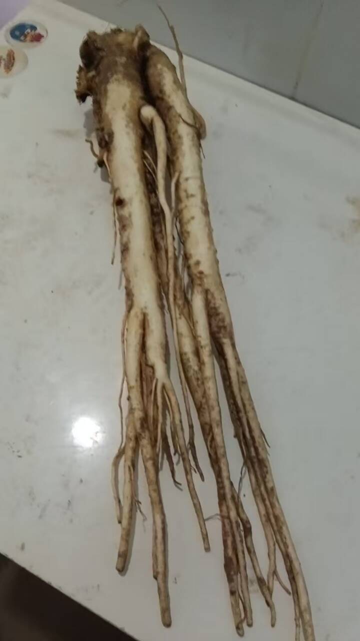 自己买人参，顺便泡了几瓶人参酒，人参卖完了，现在酒超低价出