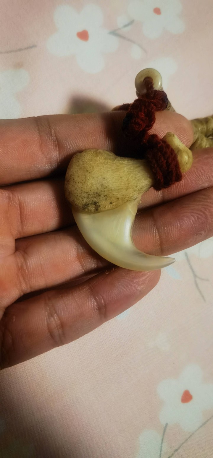 文玩钩子尺寸4.3+，辛巴钩子，形态完美，干净，收藏佩戴，辟邪佳品，同城自提喜欢…图片2