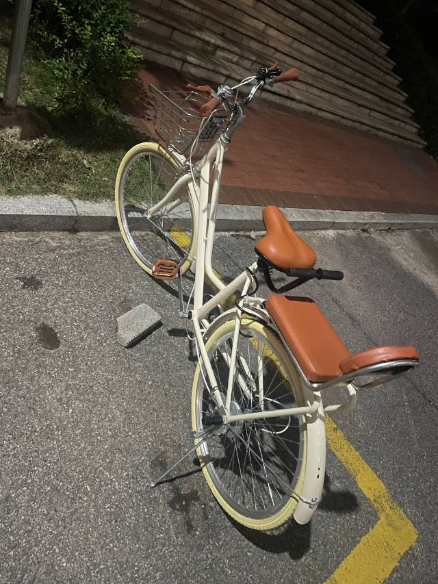 原价400，出女款自行车?，买来3个月左右，没骑过几次，?承载2个成年人，真空胎…图片2