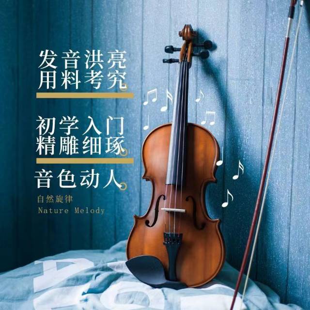 小提琴演奏初学儿童成人手工小提琴初学者实木学生练习考级乐器 价格可议