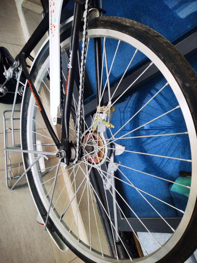 捷安特家用工具自行车，九成新。从买了就没骑几次。没有任何伤痕，带篮子。只接受同城…图片2