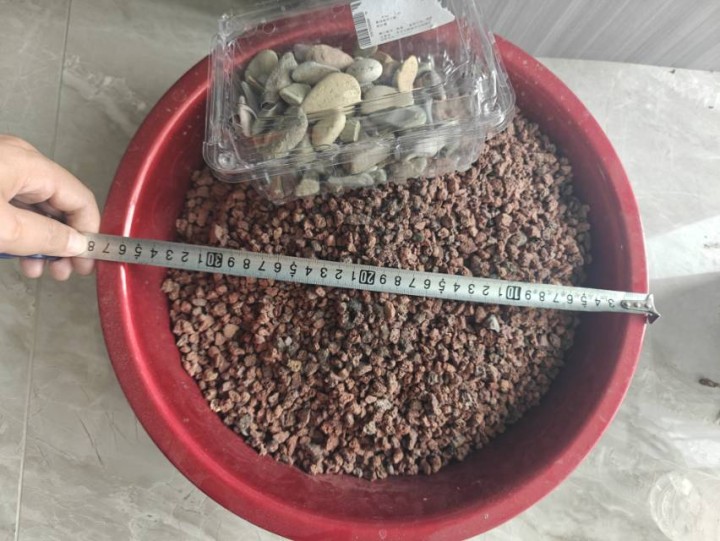 拎着小羊去吃草丶发布的动态配图7