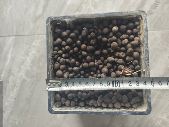 拎着小羊去吃草丶发布的动态配图10
