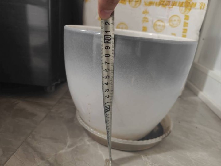 拎着小羊去吃草丶发布的动态配图5