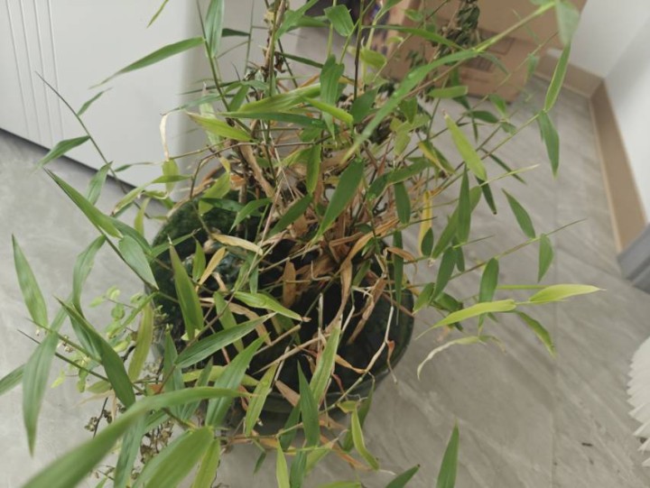 拎着小羊去吃草丶发布的动态配图9