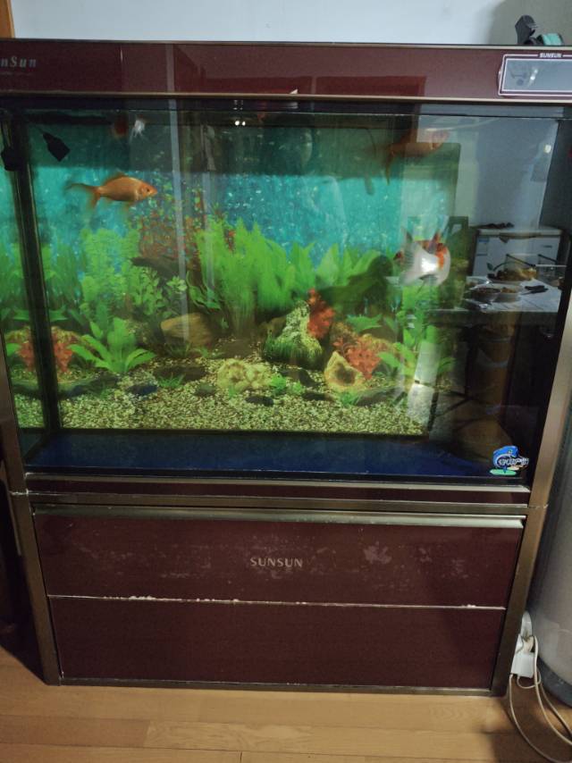 因搬家出售家中鱼缸，原价2800元，尺寸宽36厘米，高152厘米，长125厘米。…