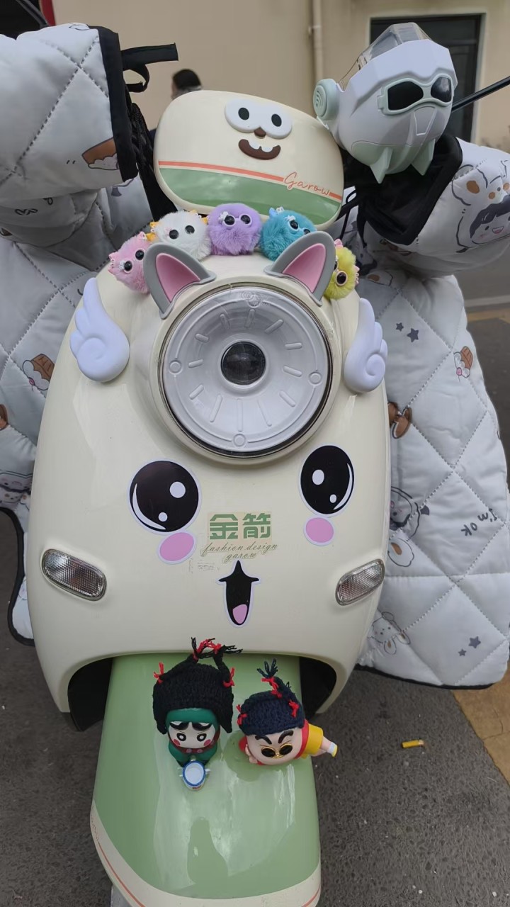 电动车买了才四个月，因为回老家便宜出售图片2