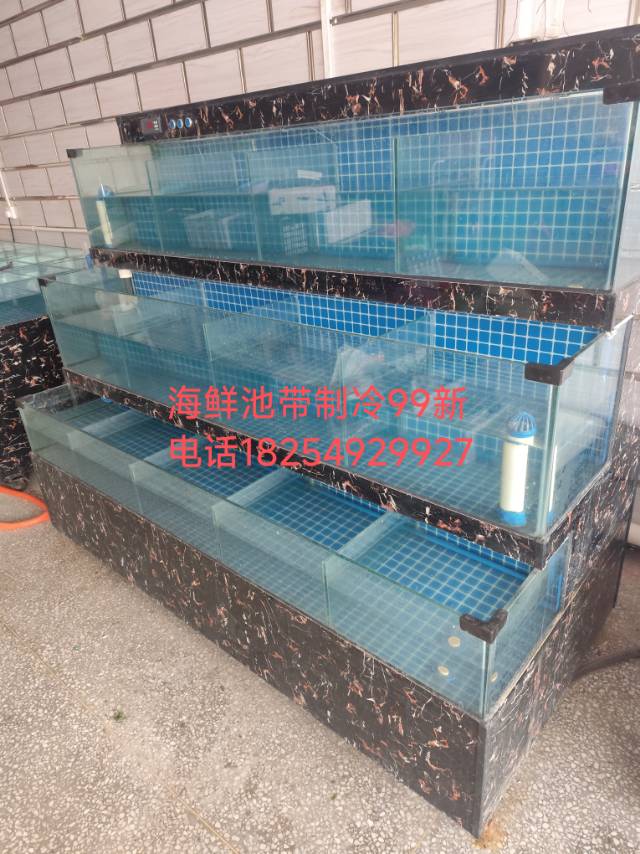 泳辉海鲜（别问我是谁）发布的动态配图2
