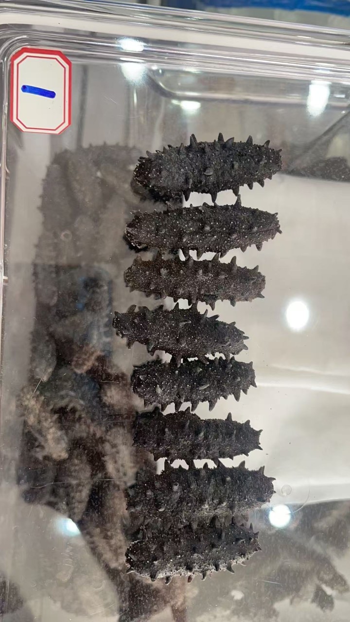 沧笙踏歌发布的动态配图2