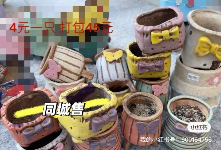 闲置多肉花盆 大小口径都有 同城可送 售出不退换