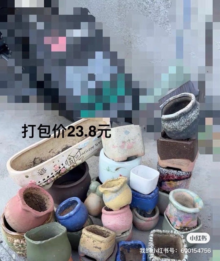 闲置多肉花盆 大小口径都有 同城可送 售出不退换图片3