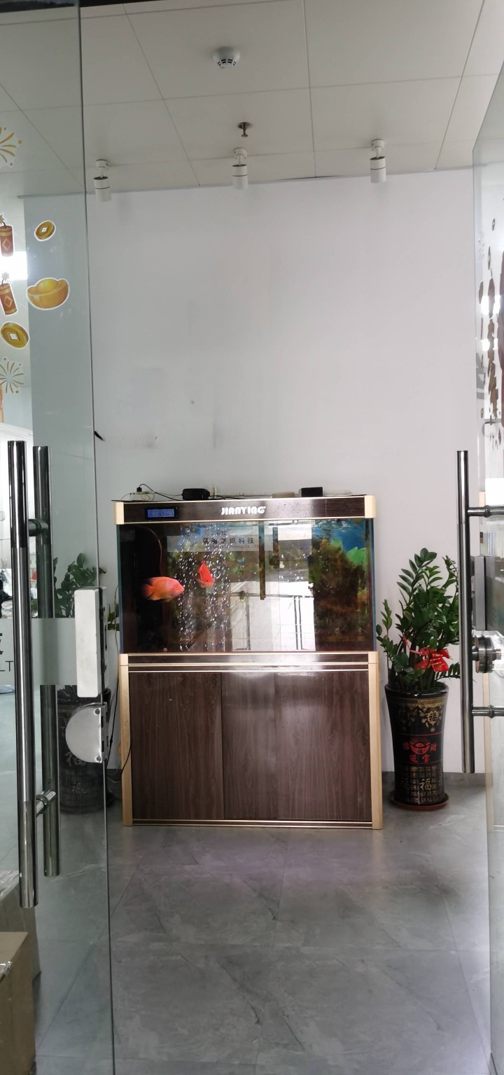 Laner发布的动态配图9