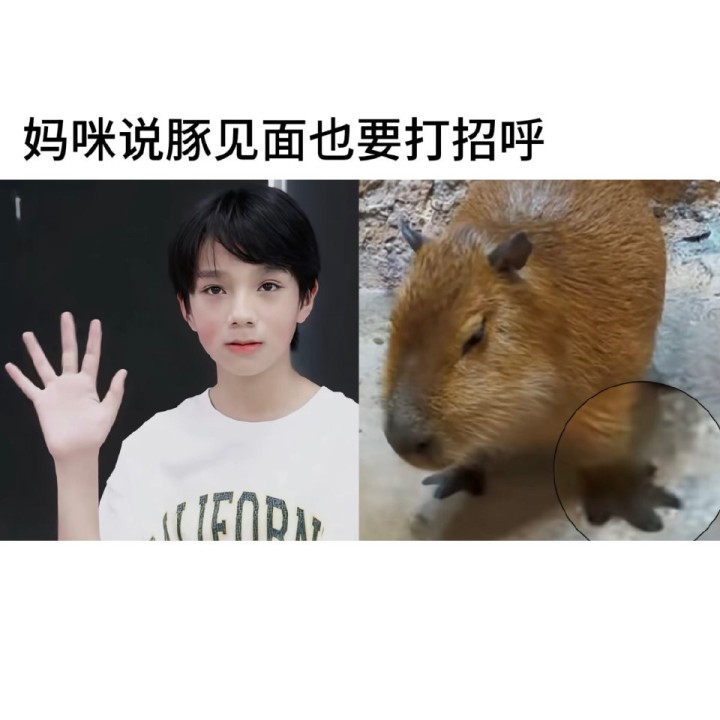 zrzp
