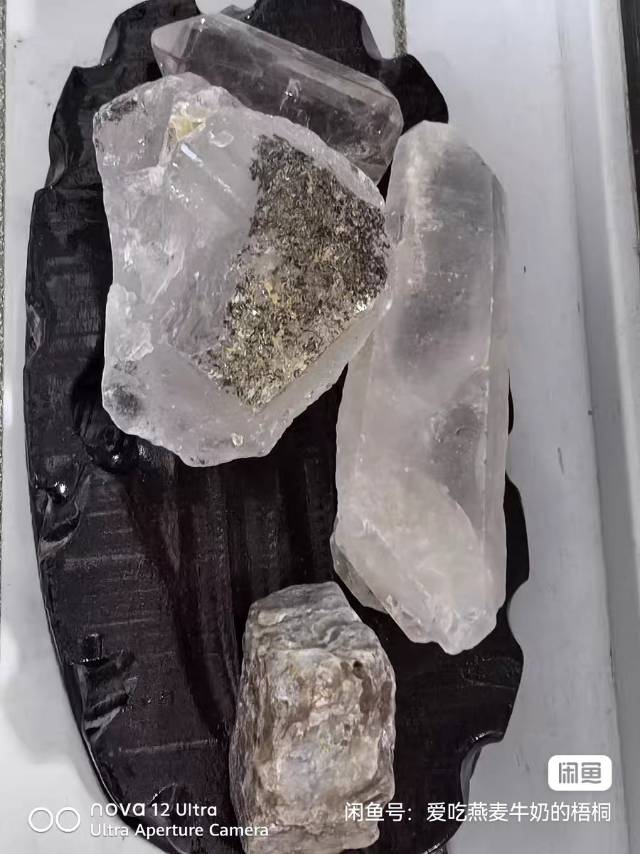 青阳发布的动态配图2