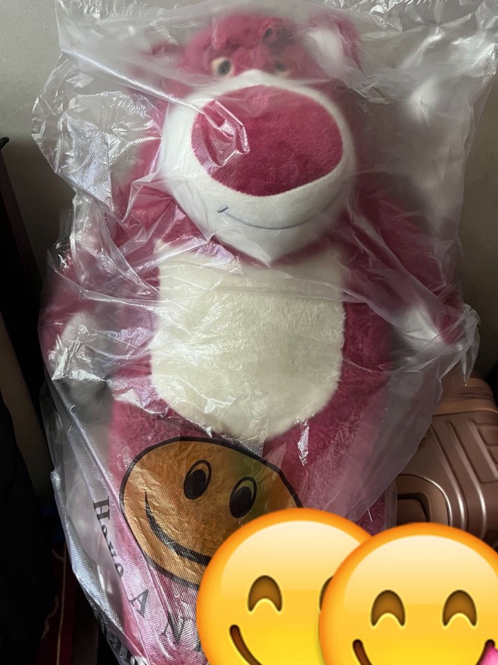 标价就是包邮价。全新毛绒布的草莓熊，外出旅游时购入的。无标签x坐高36厘米，包括…图片3