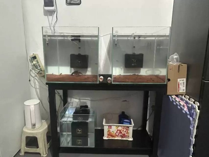 亏本转让全新鱼缸组:300元40金晶超白方缸2个30金晶超白方缸1个(适合养殖孔…图片3