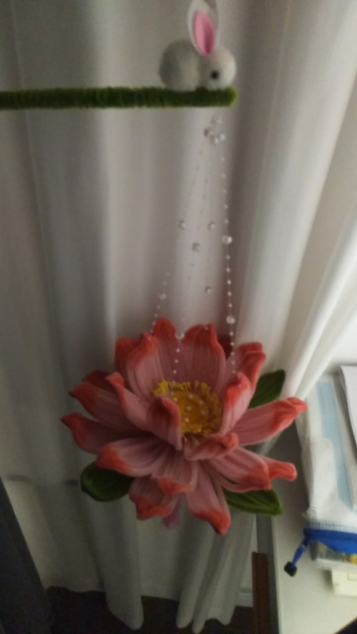 自己纯手工做的手提灯粉嫩荷花，如果觉得价格太高的话可以私聊，想要的姐妹们可以过来…