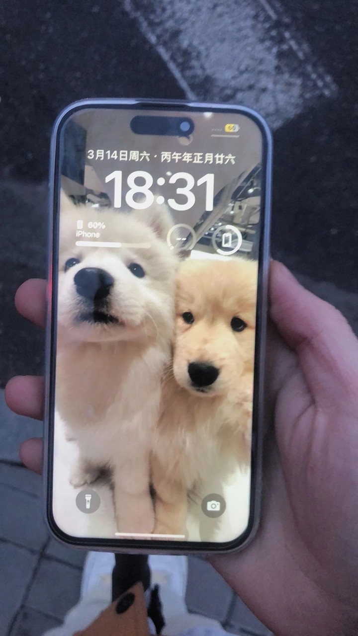 你不流弊牙疼的发布的动态配图2