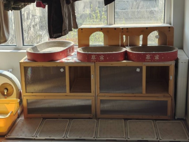 呼呼发布的动态配图2