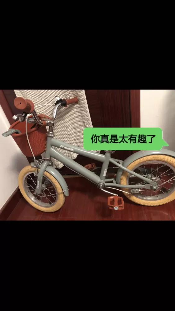 凤凰14寸自行车