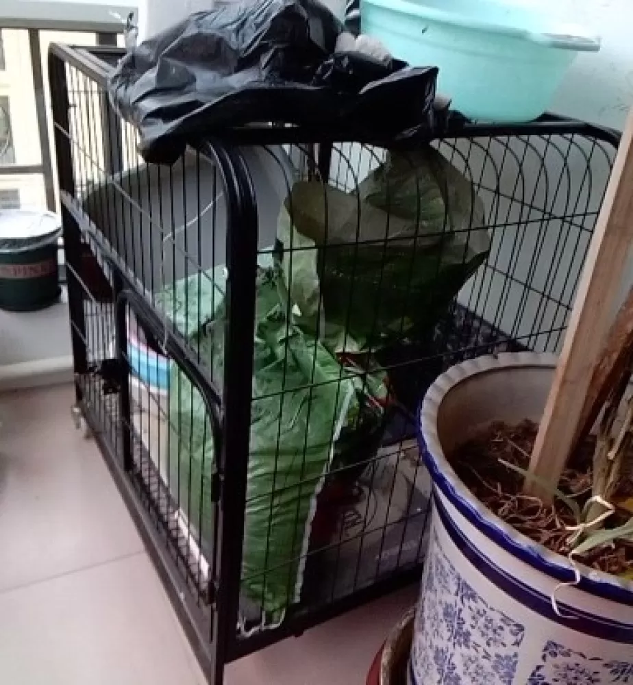 加粗加固狗笼，很大，适合中型犬，小型犬也可